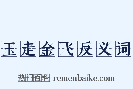 玉走金飞反义词是什么意思的图片